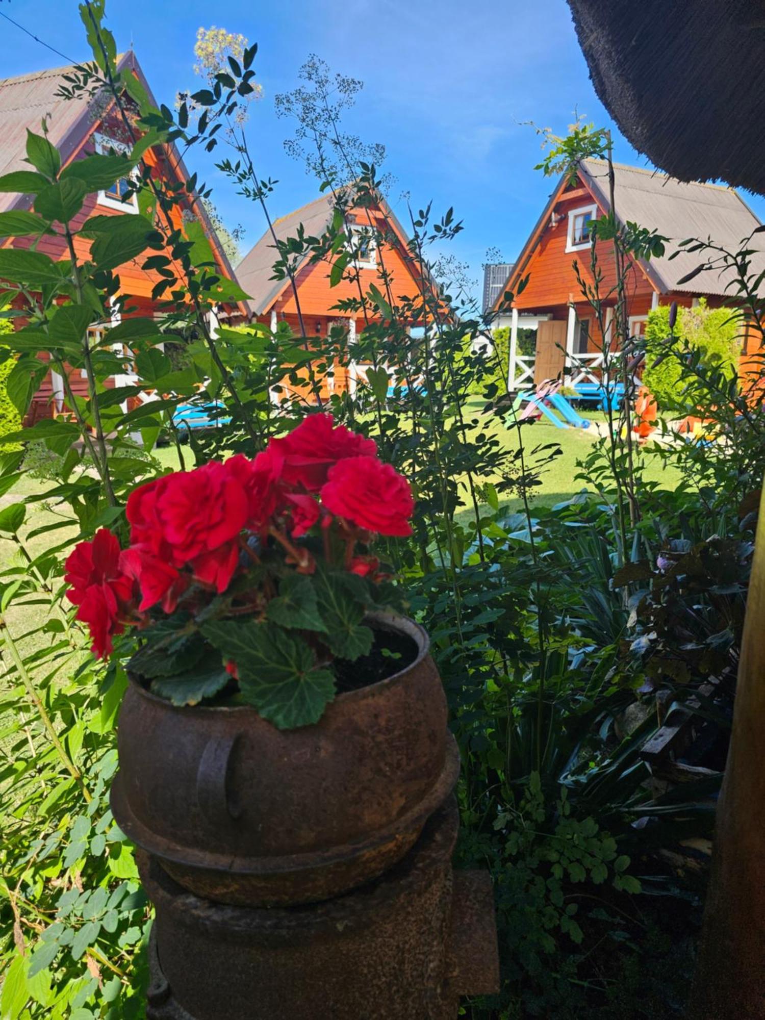 Zagroda Sarbinowo Exterior foto